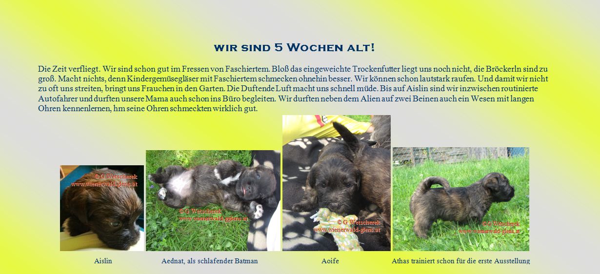 Unsere 5. Woche